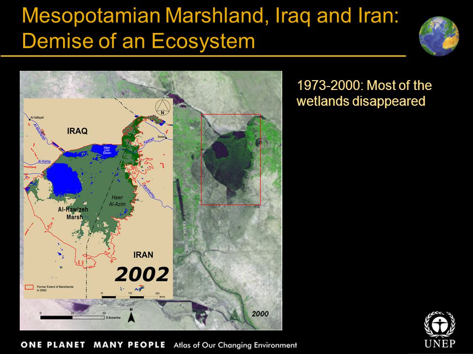 Title Body text Mesopotamian Marshland, Iraq and Iran: Demise of an Ecosystem : Most of the wetlands disappeared