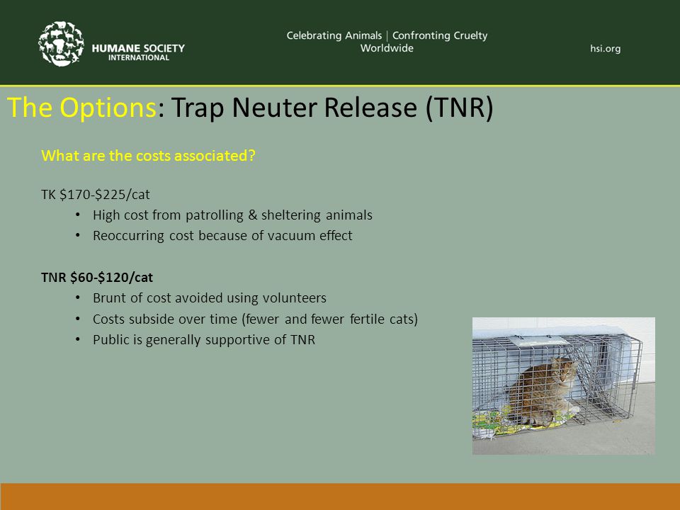 The Options: Trap Neuter Release (TNR) What are the costs associated.