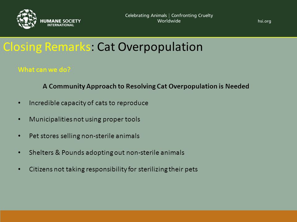Closing Remarks: Cat Overpopulation What can we do.