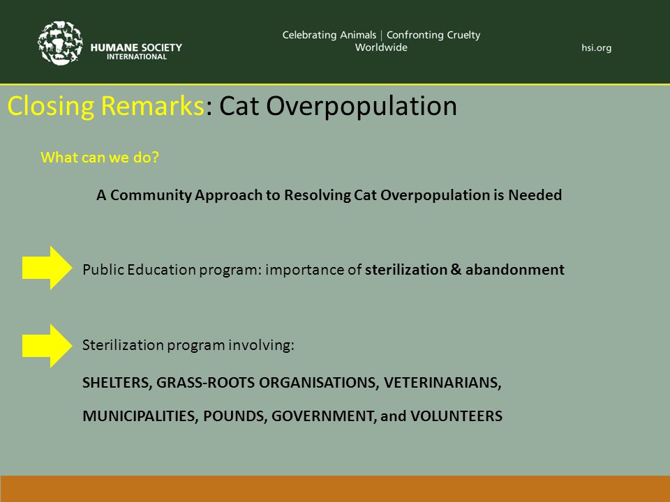 Closing Remarks: Cat Overpopulation What can we do.