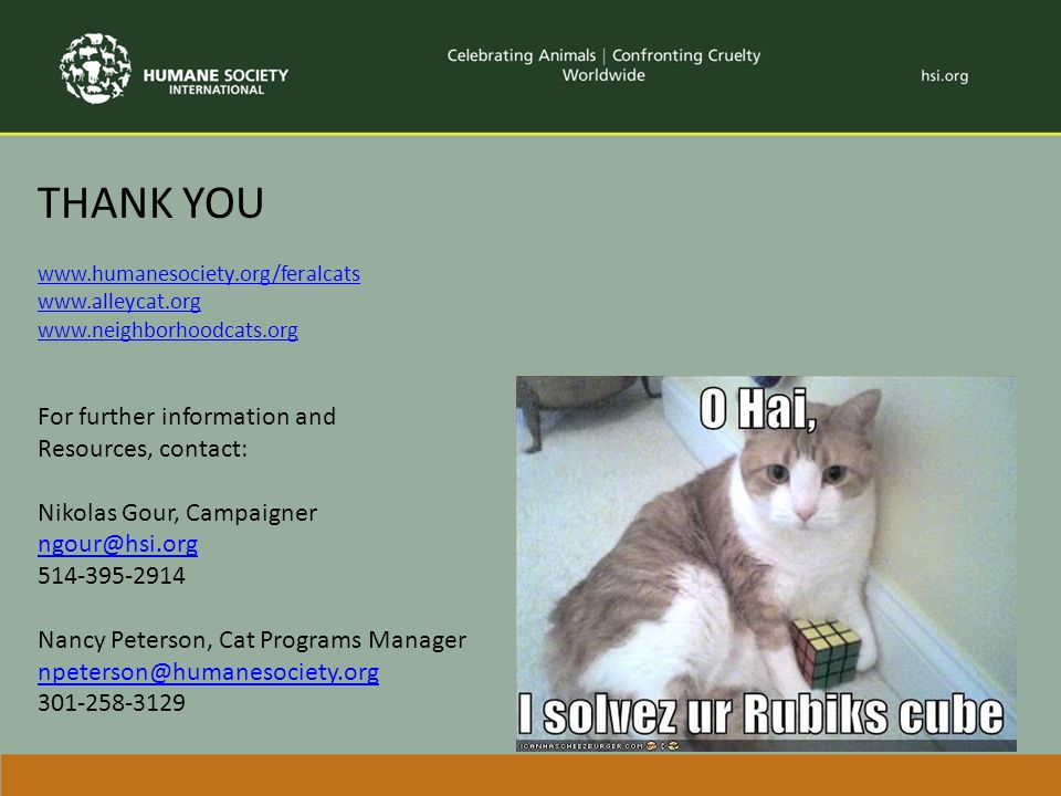 THANK YOU For further information and Resources, contact: Nikolas Gour, Campaigner Nancy Peterson, Cat Programs Manager