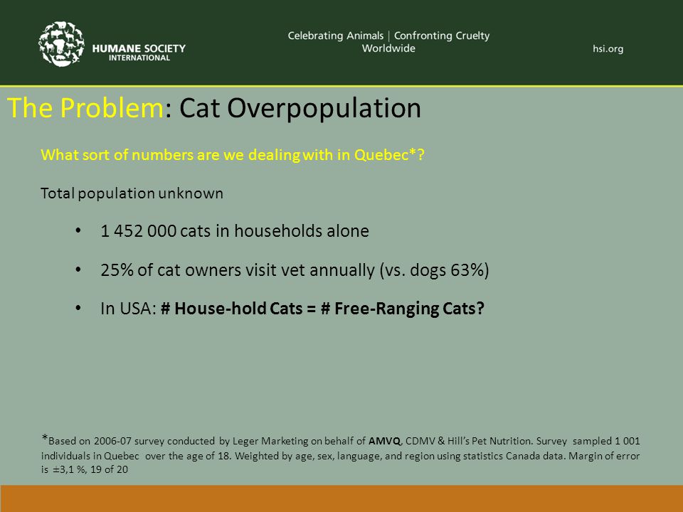 The Problem: Cat Overpopulation What sort of numbers are we dealing with in Quebec*.