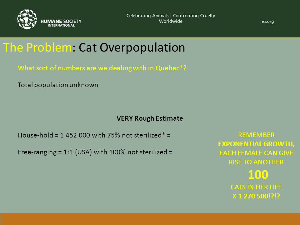The Problem: Cat Overpopulation What sort of numbers are we dealing with in Quebec*.