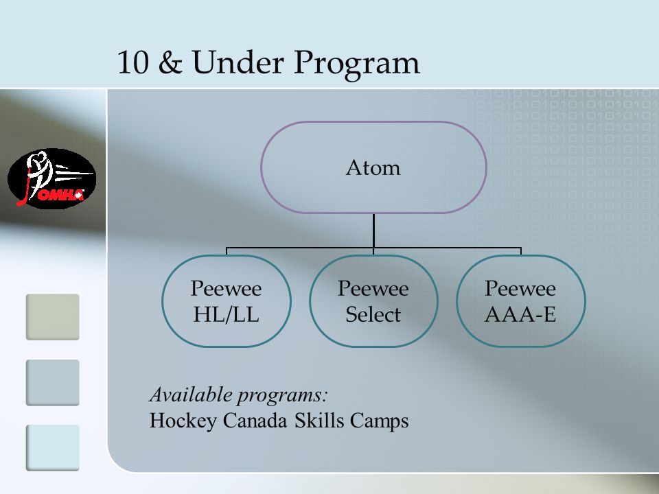 10 & Under Program Atom Peewee HL/LL Peewee Select Peewee AAA-E Available programs: Hockey Canada Skills Camps