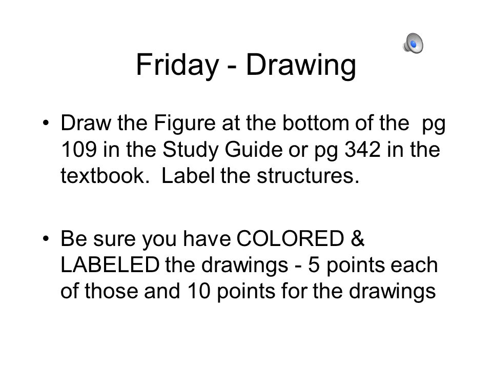 Friday - Drawing Draw the Figure at the bottom of the pg 109 in the Study Guide or pg 342 in the textbook.