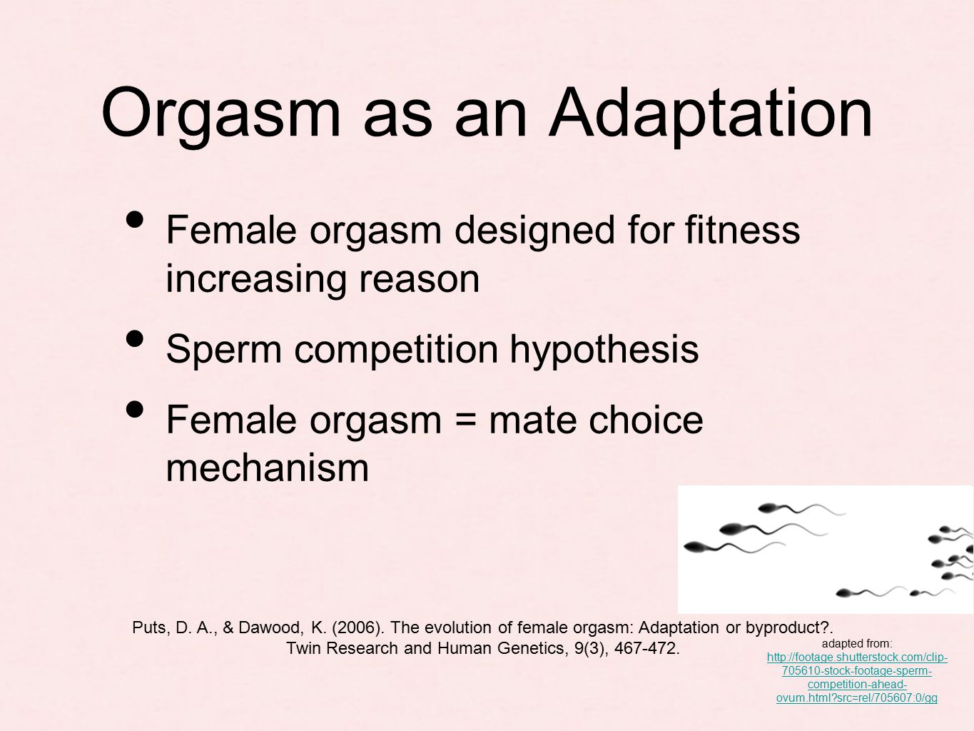 against. opinion femdom ruined orgasm absolutely not agree with