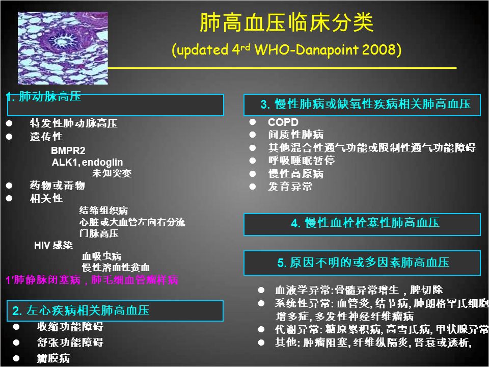 荆志成 M D Fccp 上海市肺科医院同济大学医学院肺动脉高压 10 Pulmonary Arterial Hypertension Ppt Download