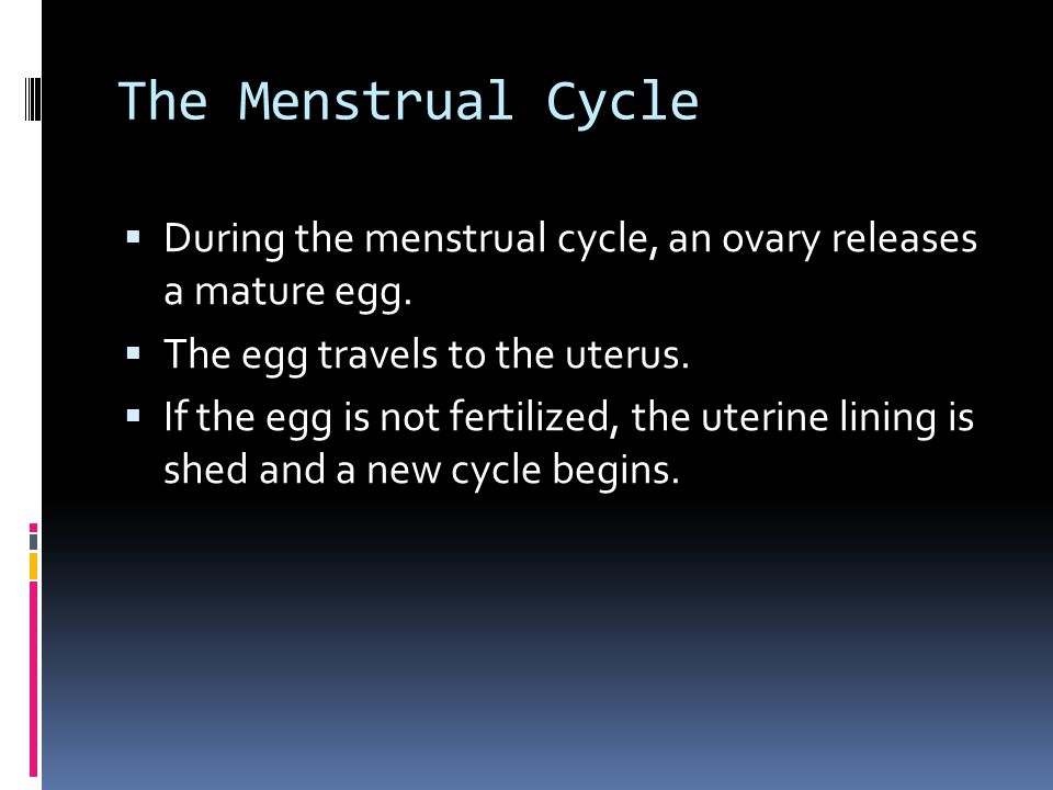 The Menstrual Cycle  During the menstrual cycle, an ovary releases a mature egg.