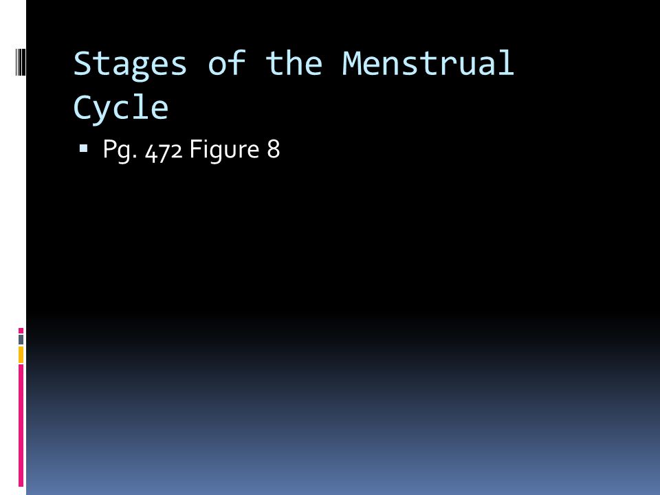 Stages of the Menstrual Cycle  Pg. 472 Figure 8
