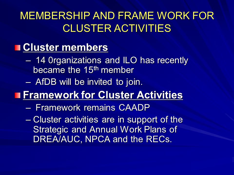 MEMBERSHIP AND FRAME WORK FOR CLUSTER ACTIVITIES Cluster members – 14 0rganizations and ILO has recently became the 15 th member – AfDB will be invited to join.