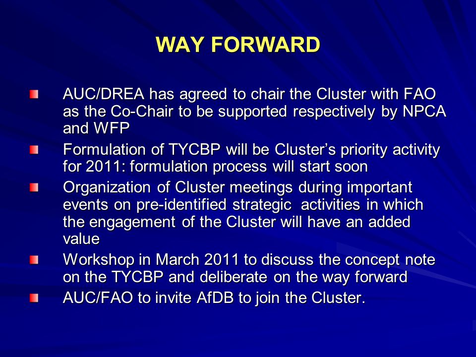 WAY FORWARD AUC/DREA has agreed to chair the Cluster with FAO as the Co-Chair to be supported respectively by NPCA and WFP Formulation of TYCBP will be Cluster’s priority activity for 2011: formulation process will start soon Organization of Cluster meetings during important events on pre-identified strategic activities in which the engagement of the Cluster will have an added value Workshop in March 2011 to discuss the concept note on the TYCBP and deliberate on the way forward AUC/FAO to invite AfDB to join the Cluster.