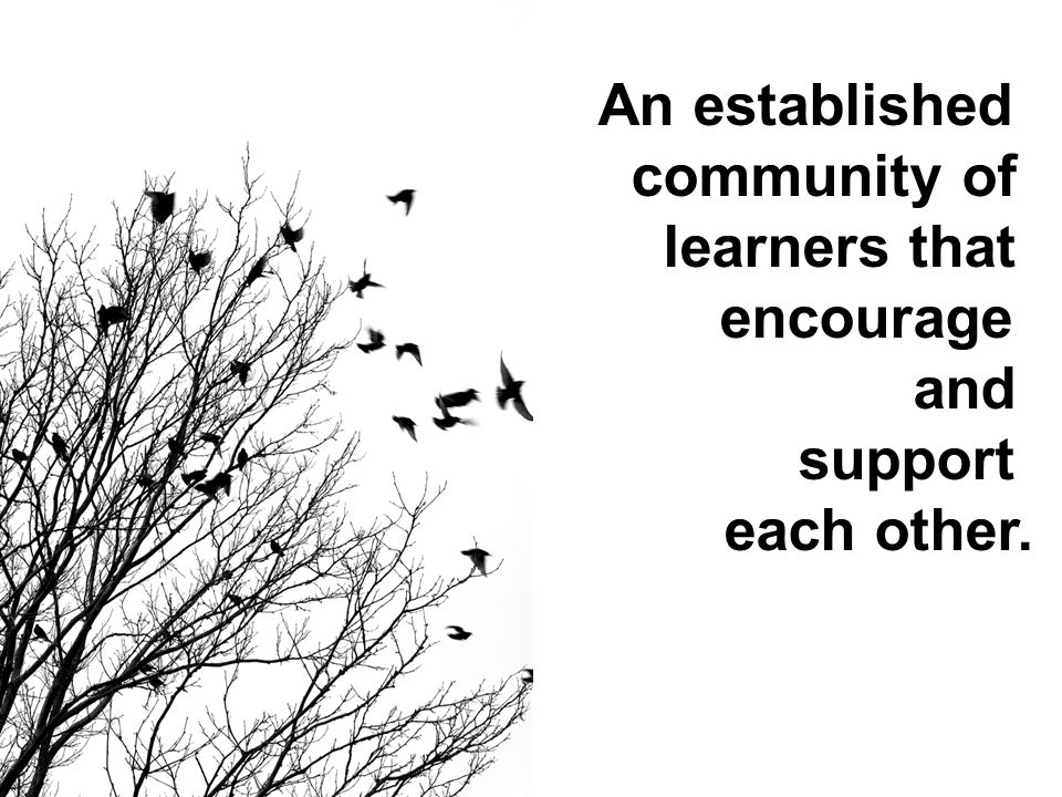 An established community of learners that encourage and support each other.