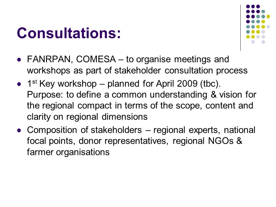 Consultations: FANRPAN, COMESA – to organise meetings and workshops as part of stakeholder consultation process 1 st Key workshop – planned for April 2009 (tbc).