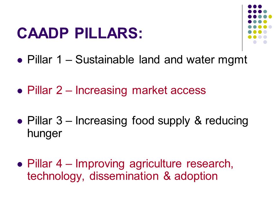 CAADP PILLARS: Pillar 1 – Sustainable land and water mgmt Pillar 2 – Increasing market access Pillar 3 – Increasing food supply & reducing hunger Pillar 4 – Improving agriculture research, technology, dissemination & adoption