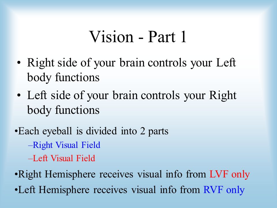 Vision - Part 1 Right side of your brain controls your Left body functions Left side of your brain controls your Right body functions Each eyeball is divided into 2 parts –Right Visual Field –Left Visual Field Right Hemisphere receives visual info from LVF only Left Hemisphere receives visual info from RVF only