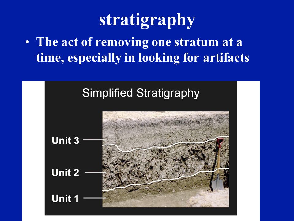 stratum A layer of the earth, especially in an archaeological dig