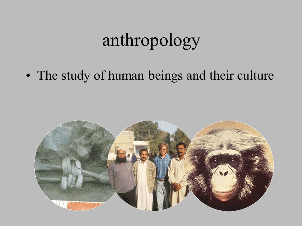 archaeology The study of past civilizations by examining artifacts and other remains