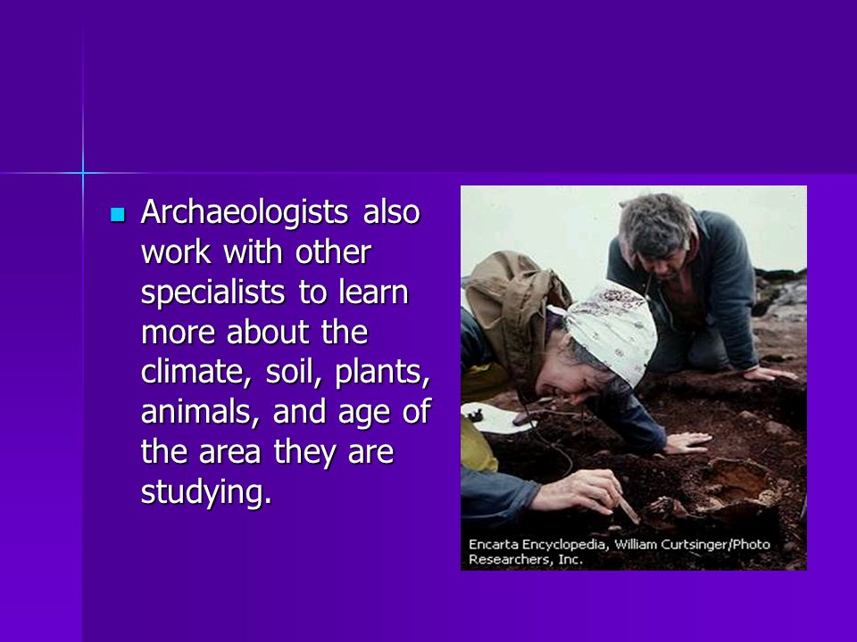 Archaeologists also work with other specialists to learn more about the climate, soil, plants, animals, and age of the area they are studying.