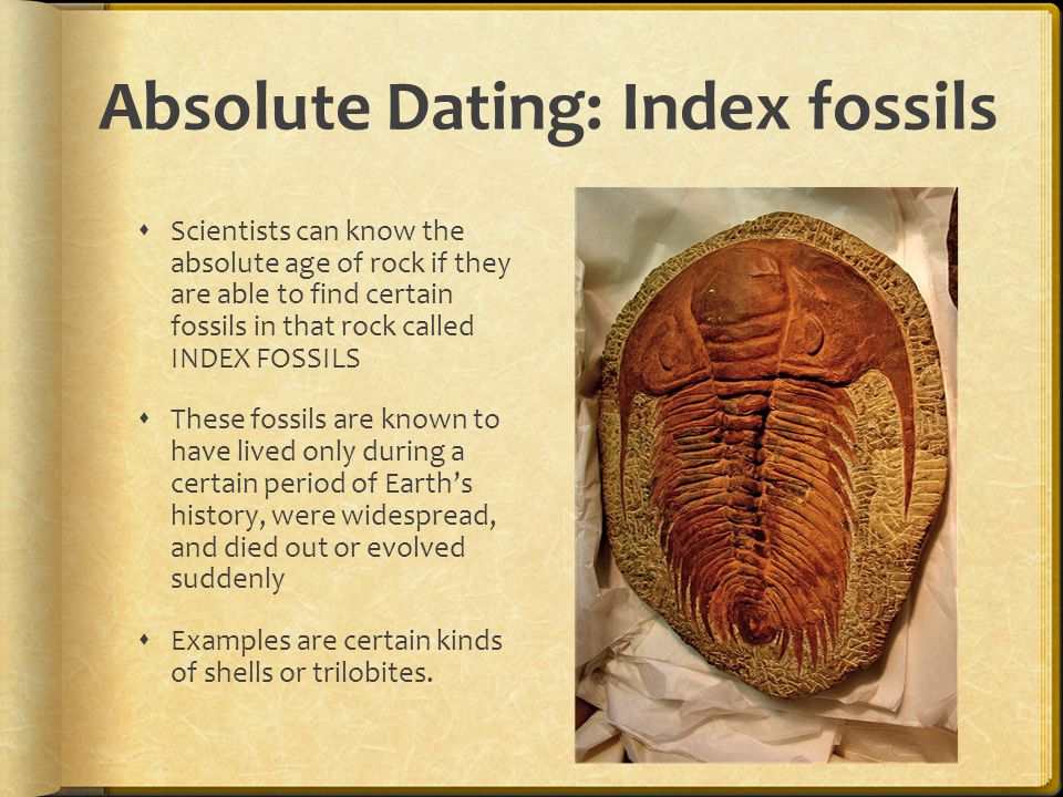 Dating index fossils