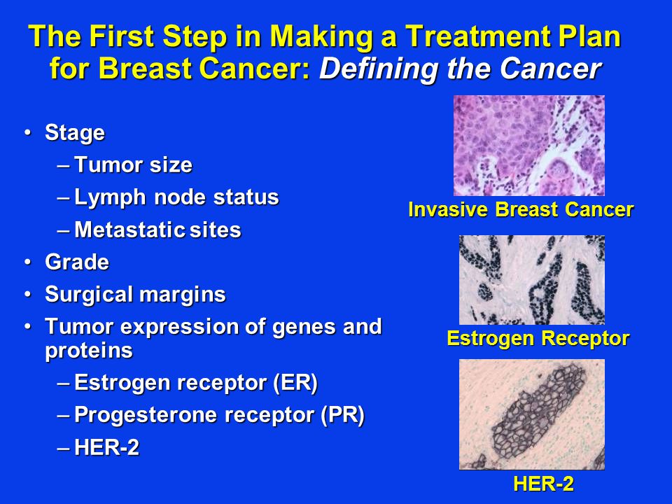 The First Step in Making a Treatment Plan for Breast Cancer: Defining the Cancer StageStage –Tumor size –Lymph node status –Metastatic sites GradeGrade Surgical marginsSurgical margins Tumor expression of genes and proteinsTumor expression of genes and proteins –Estrogen receptor (ER) –Progesterone receptor (PR) –HER-2 Estrogen Receptor Invasive Breast Cancer HER-2