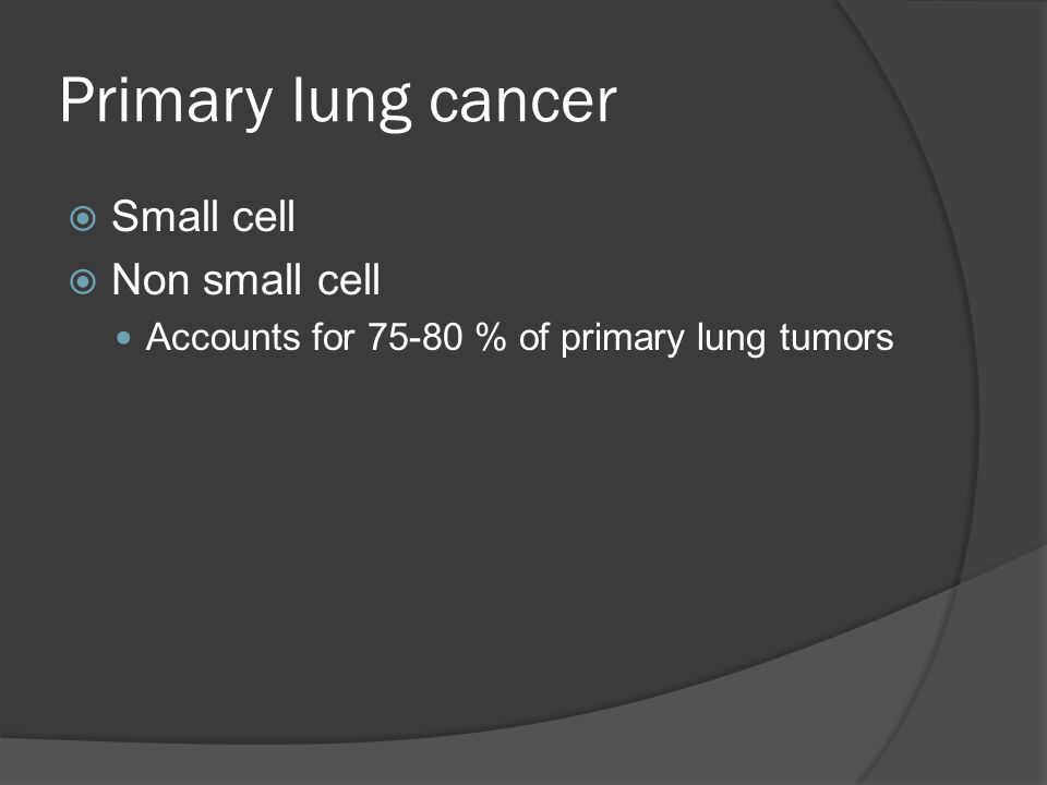 Primary lung cancer  Small cell  Non small cell Accounts for % of primary lung tumors
