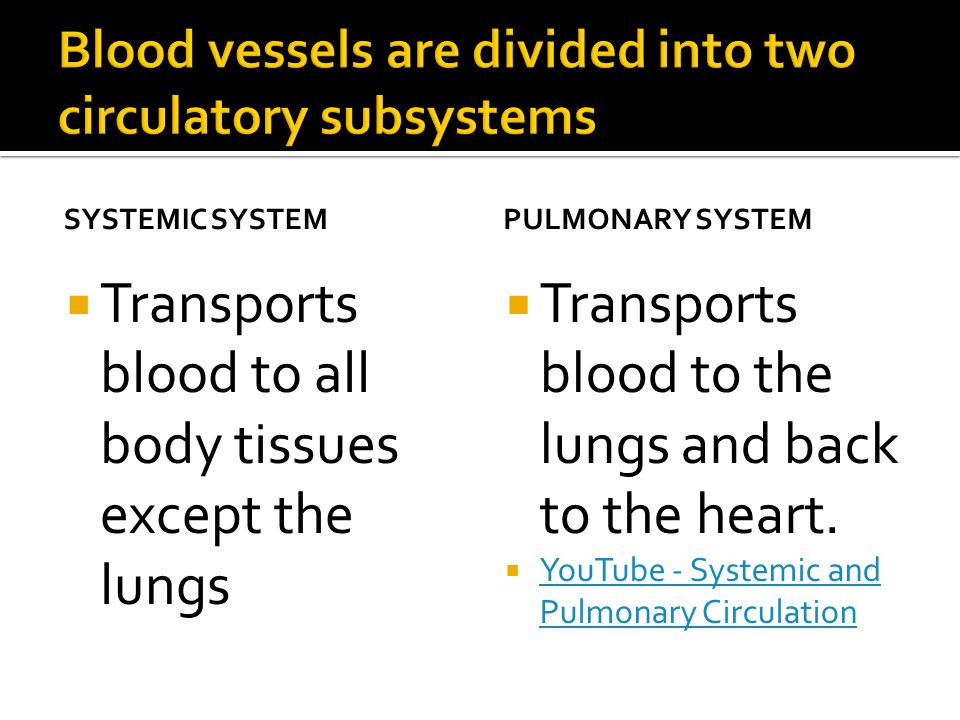 SYSTEMIC SYSTEM  Transports blood to all body tissues except the lungs PULMONARY SYSTEM  Transports blood to the lungs and back to the heart.