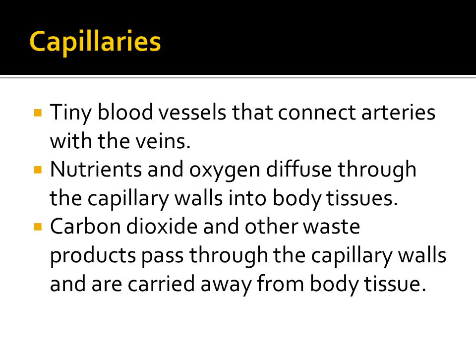  Tiny blood vessels that connect arteries with the veins.