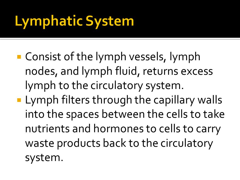  Consist of the lymph vessels, lymph nodes, and lymph fluid, returns excess lymph to the circulatory system.