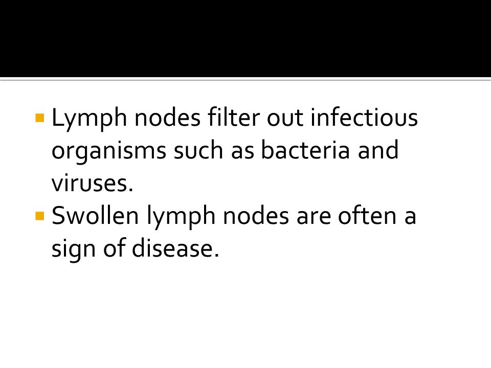  Lymph nodes filter out infectious organisms such as bacteria and viruses.