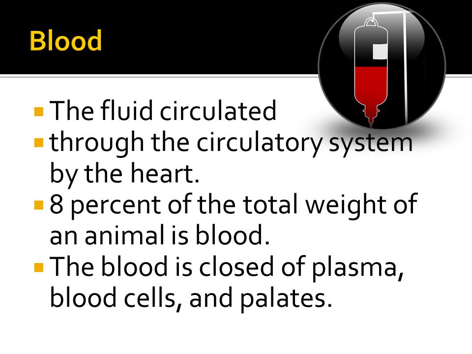  The fluid circulated  through the circulatory system by the heart.