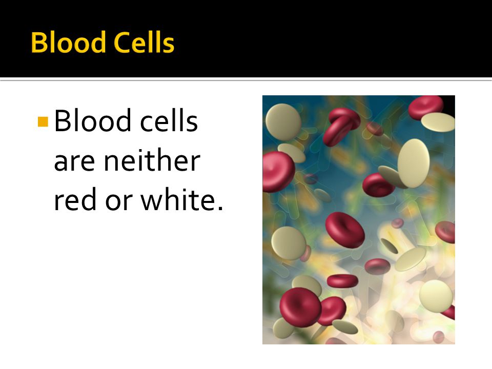  Blood cells are neither red or white.