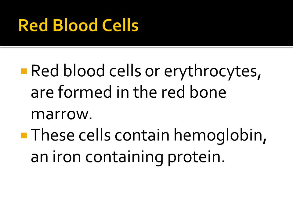  Red blood cells or erythrocytes, are formed in the red bone marrow.