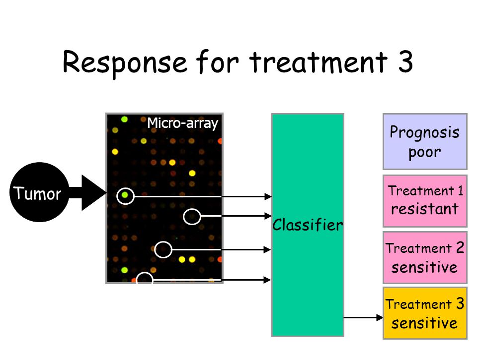 Response for treatment 3 Tumor Micro-array Classifier Treatment 2 sensitive Prognosis poor Treatment 1 resistant Treatment 3 sensitive