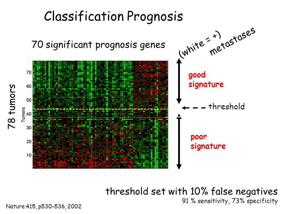 Classification Prognosis 78 tumors good signature poor signature threshold threshold set with 10% false negatives 91 % sensitivity, 73% specificity metastases (white = +) 70 significant prognosis genes Nature 415, p , 2002