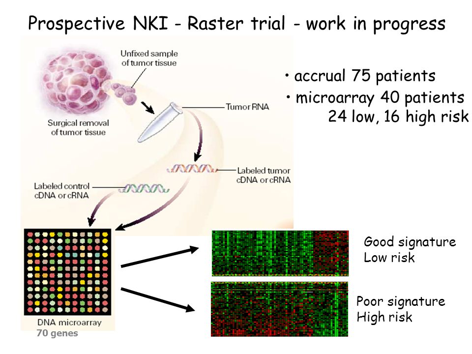 70 genes Prospective NKI - Raster trial - work in progress Good signature Low risk Poor signature High risk accrual 75 patients microarray 40 patients 24 low, 16 high risk