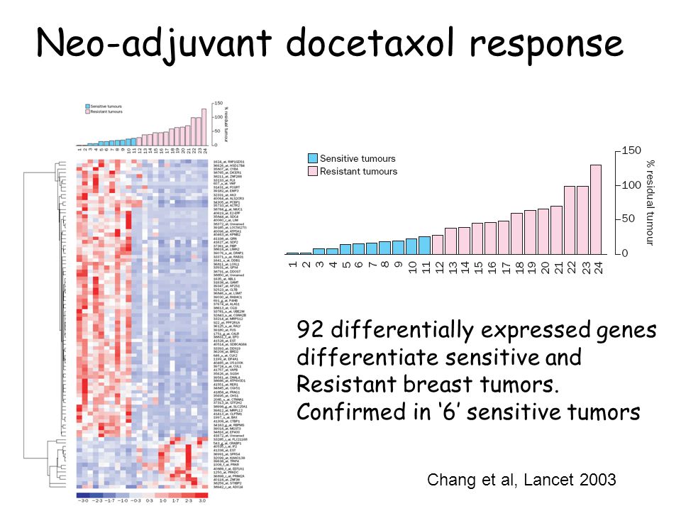 Chang et al, Lancet 2003 Neo-adjuvant docetaxol response 92 differentially expressed genes differentiate sensitive and Resistant breast tumors.
