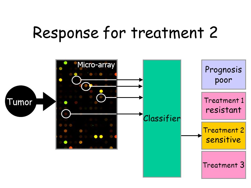 Micro-array Treatment 2 sensitive Prognosis poor Treatment 1 resistant Treatment 3 Response for treatment 2 Classifier Tumor
