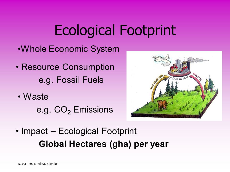ICRAT, 2004, Zilina, Slovakia Ecological Footprint Resource Consumption e.g.