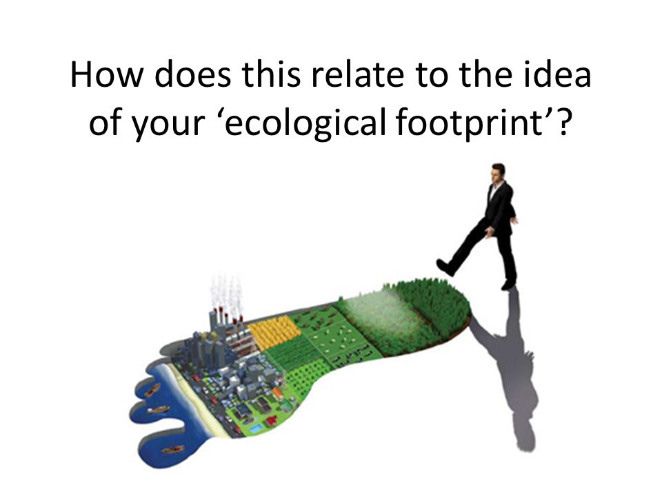 How does this relate to the idea of your ‘ecological footprint’