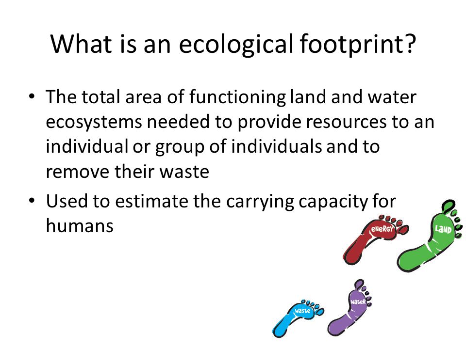 What is an ecological footprint.