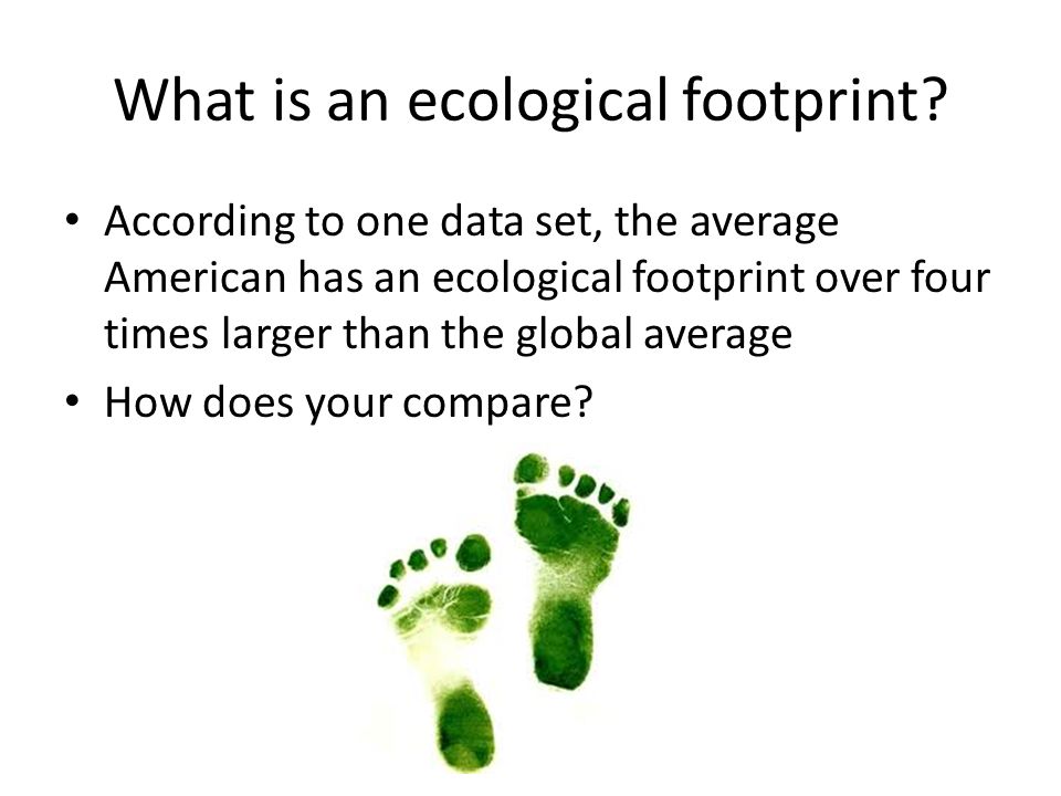 What is an ecological footprint.