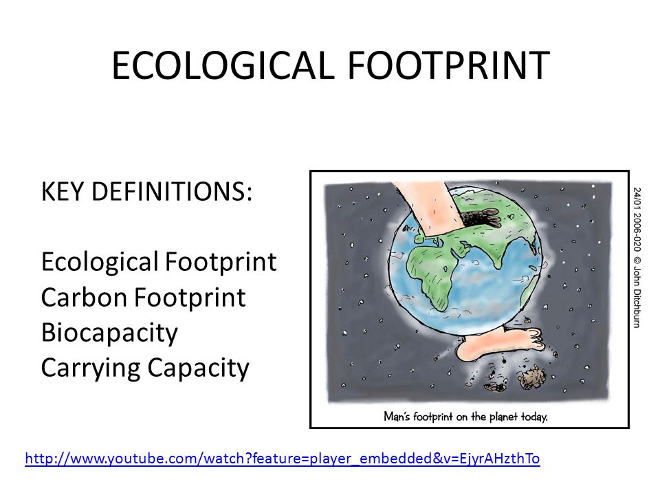 ECOLOGICAL FOOTPRINT KEY DEFINITIONS: Ecological Footprint Carbon Footprint Biocapacity Carrying Capacity   feature=player_embedded&v=EjyrAHzthTo