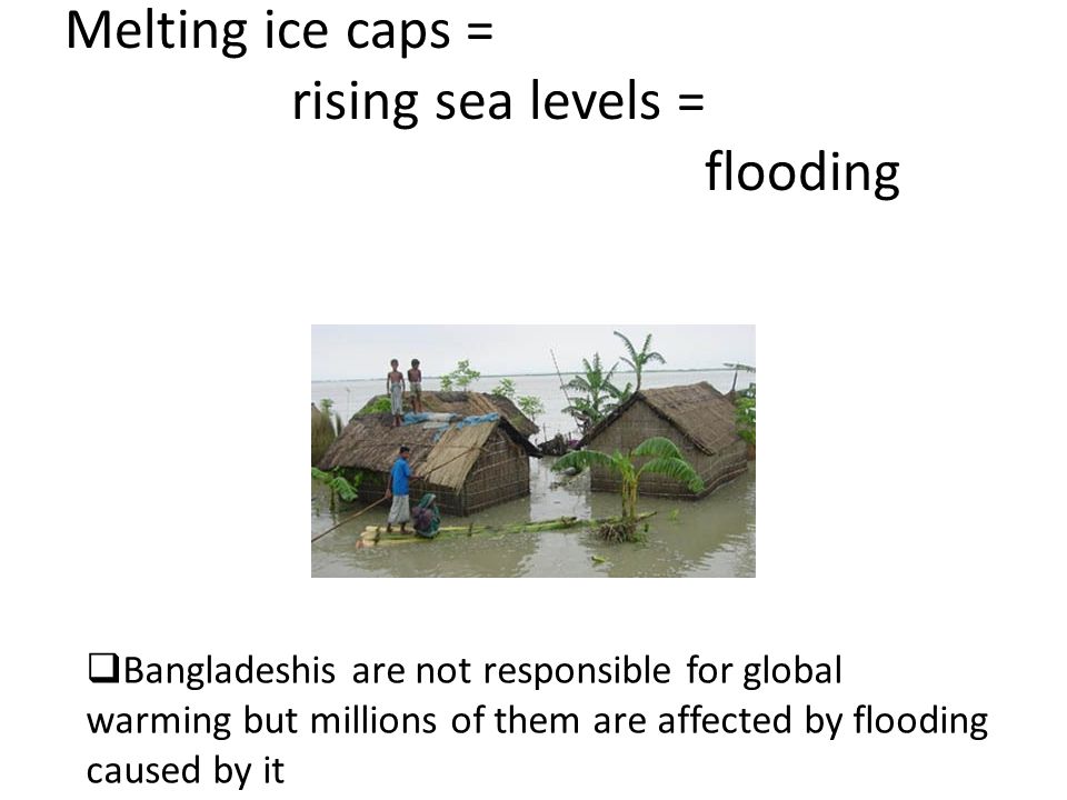 Melting ice caps = rising sea levels = flooding  Bangladeshis are not responsible for global warming but millions of them are affected by flooding caused by it