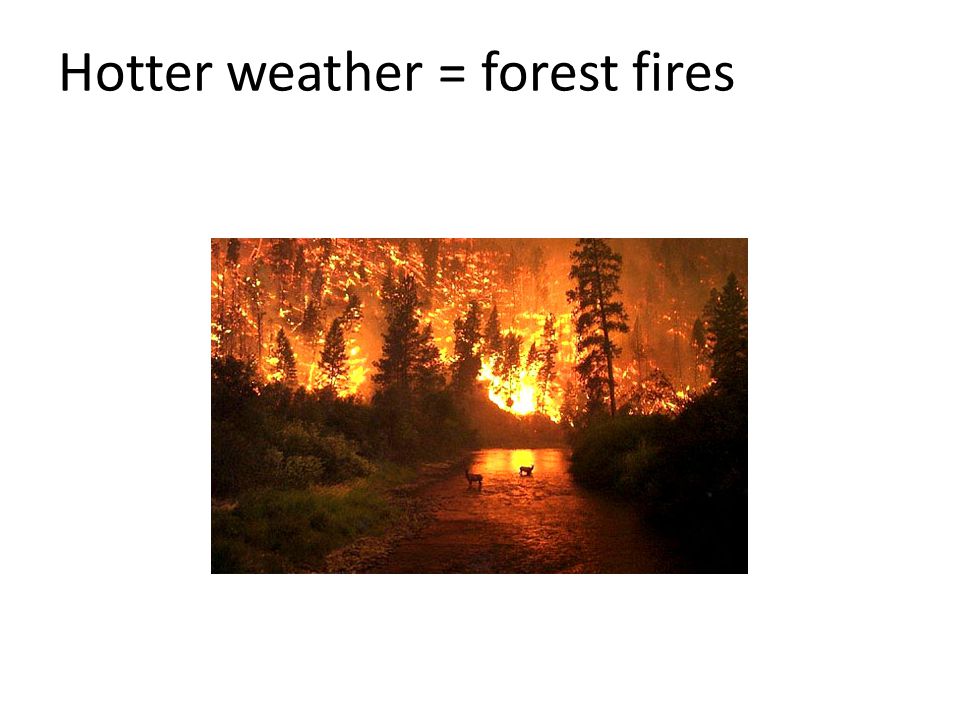 Hotter weather = forest fires
