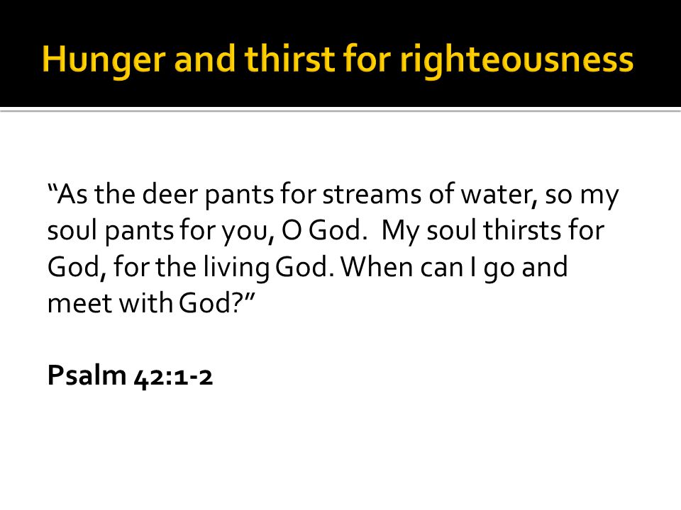 As the deer pants for streams of water, so my soul pants for you, O God.