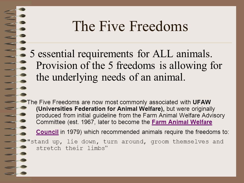 ANIMAL WELFARE ELISTA Education The Five Freedoms & Anthrozoology. - ppt  download