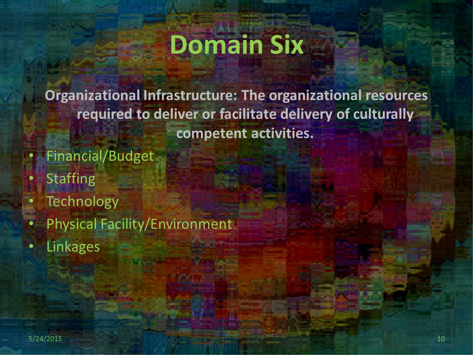 Domain Six Organizational Infrastructure: The organizational resources required to deliver or facilitate delivery of culturally competent activities.