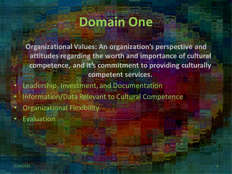 Domain One Organizational Values: An organization’s perspective and attitudes regarding the worth and importance of cultural competence, and it’s commitment to providing culturally competent services.