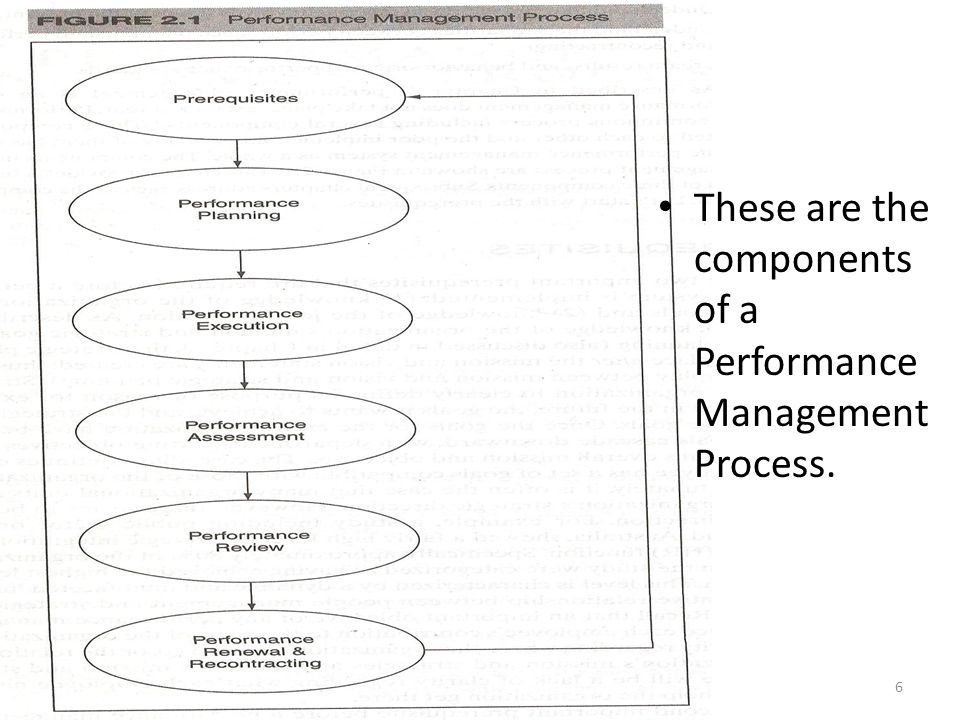 These are the components of a Performance Management Process. 6