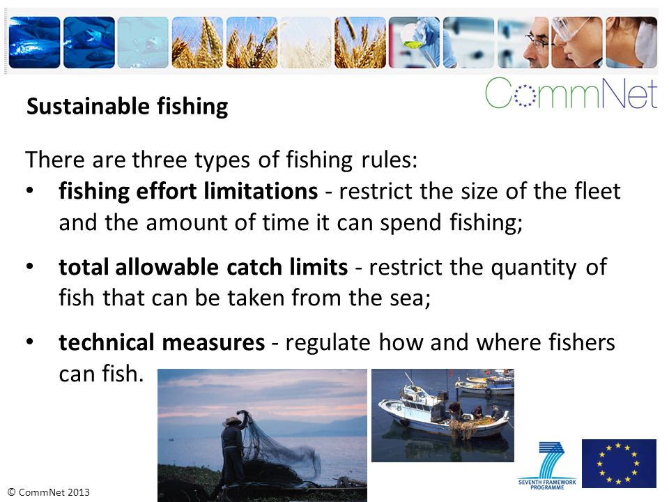 © CommNet 2013 Sustainable fishing There are three types of fishing rules: fishing effort limitations - restrict the size of the fleet and the amount of time it can spend fishing; total allowable catch limits - restrict the quantity of fish that can be taken from the sea; technical measures - regulate how and where fishers can fish.